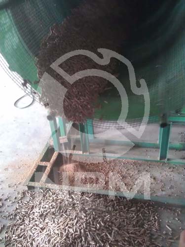 screening machine-pellets is discharged